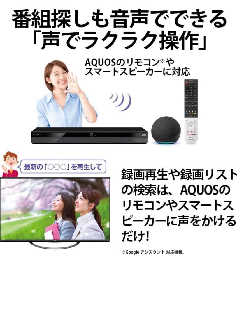 SHARP AQUOS 2B-C10BT1 【1TB 3番組同時録画】