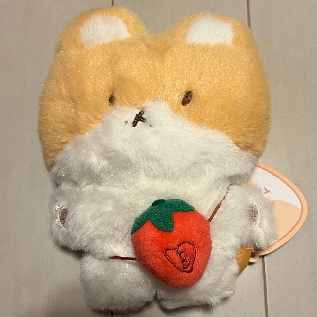 トレギ　ベク　ぬいぐるみ