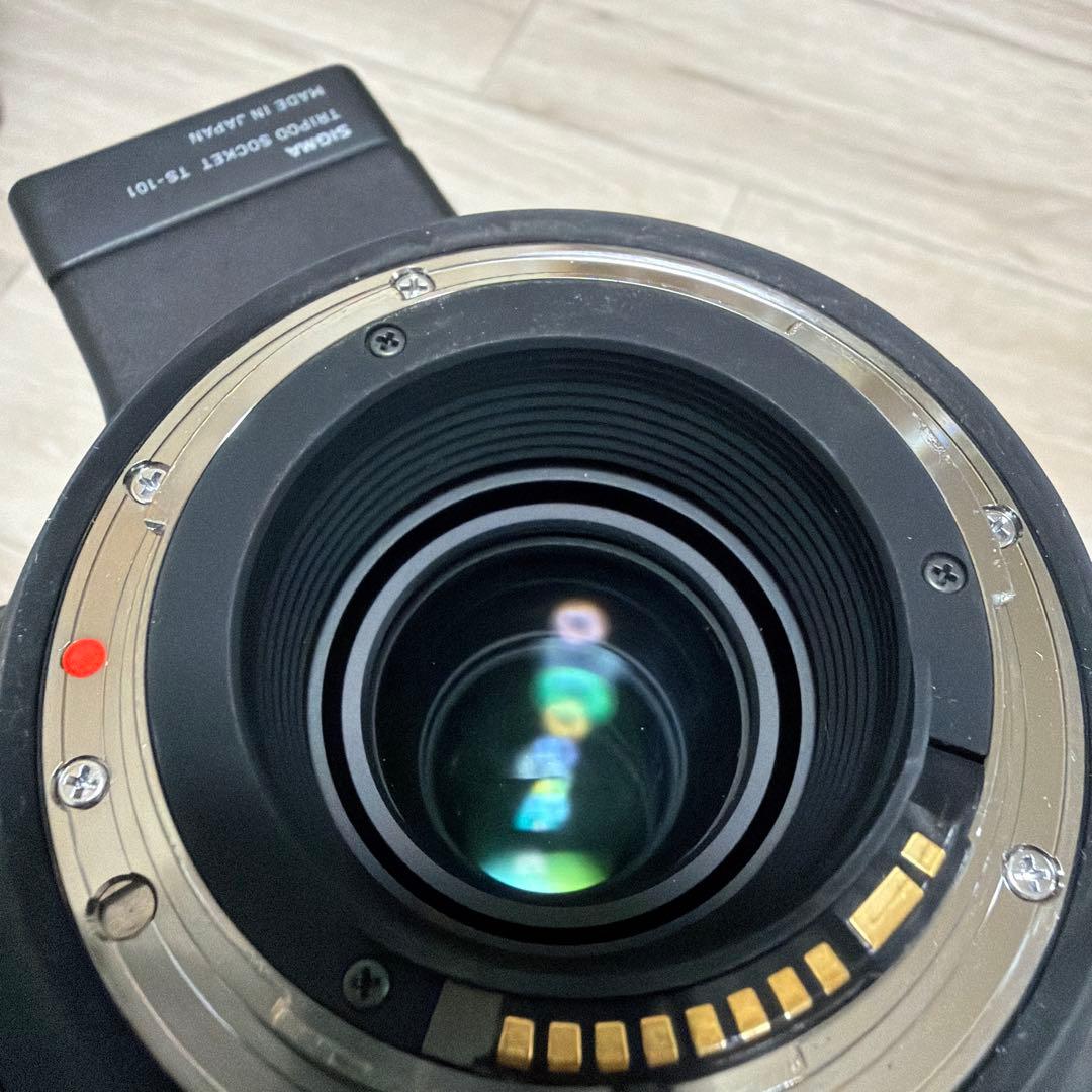 レンズ(ズーム) SIGMA 60-600mm F4.5-6.3 DG OS HSM