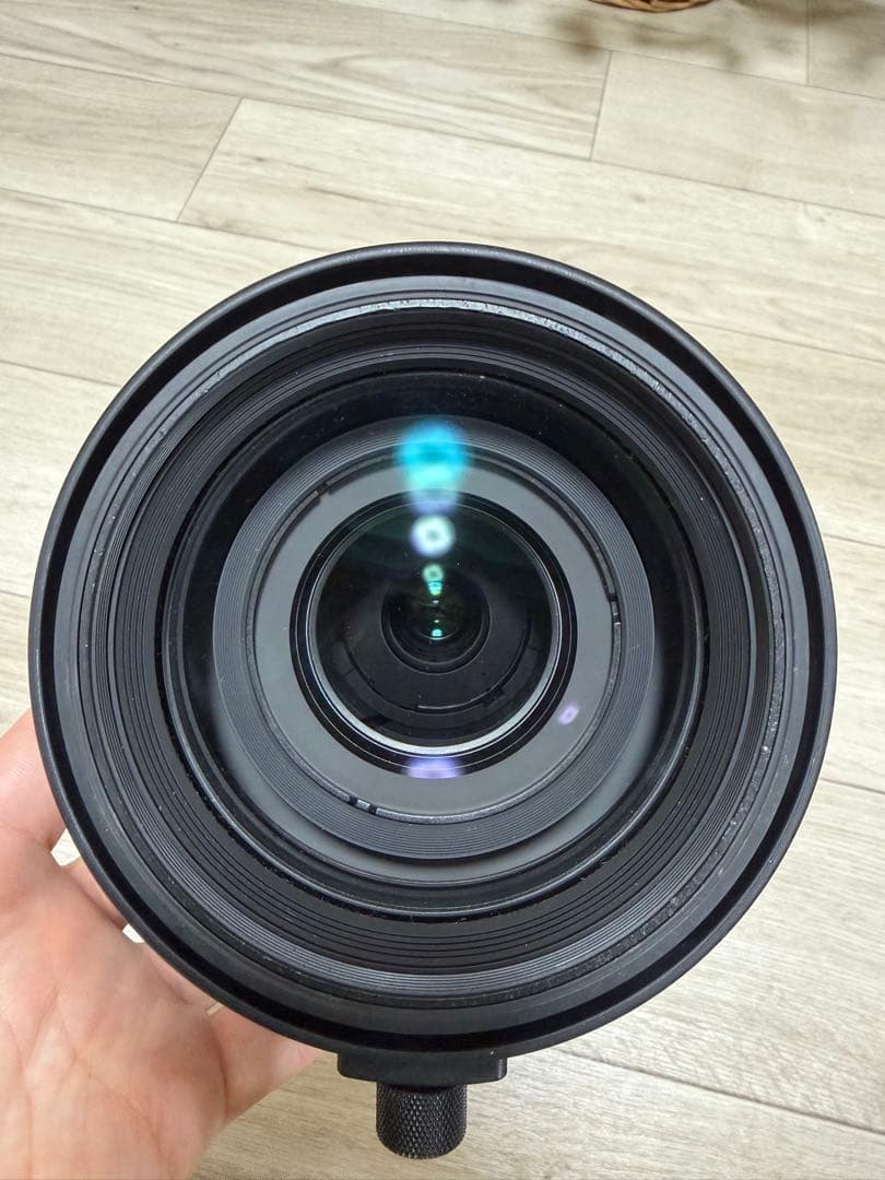 レンズ(ズーム) SIGMA 60-600mm F4.5-6.3 DG OS HSM