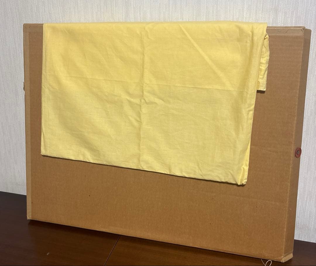 ロルフ・ラフルスキー Rolf Rafflewski リトグラフ　シテ島