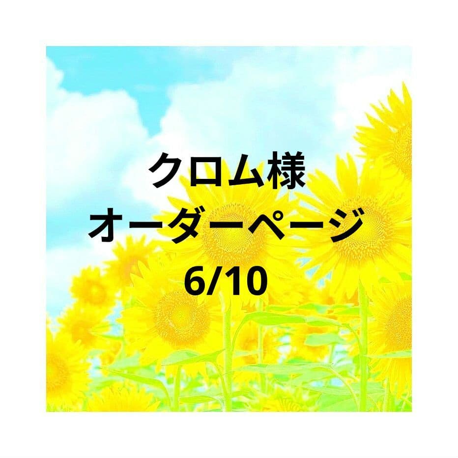 クロム様　オーダーページ　6/10