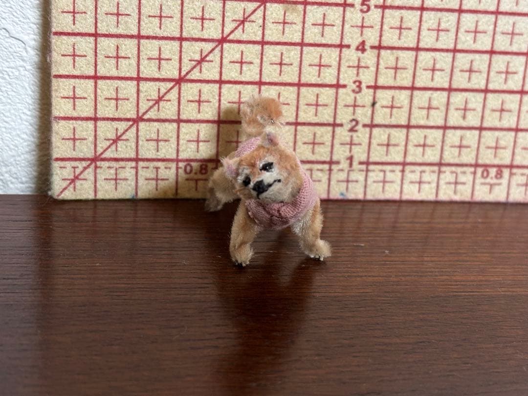 モールアート「 ん？」のお顔の柴犬ちゃん