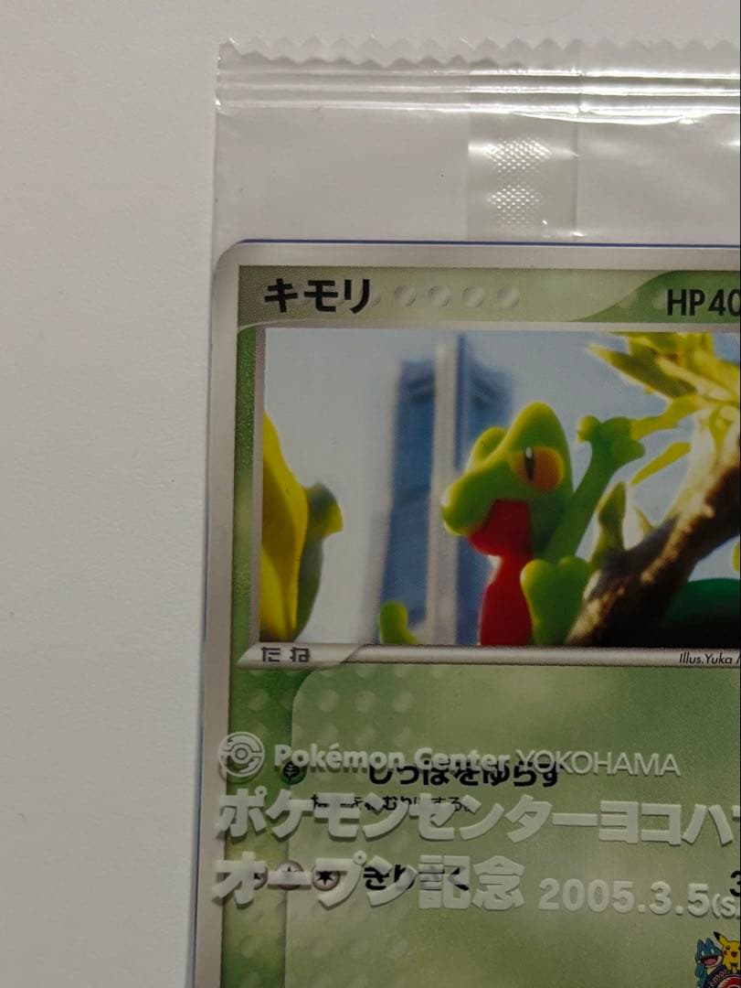 キモリ 037/PCG-P 2004 ポケモンセンター