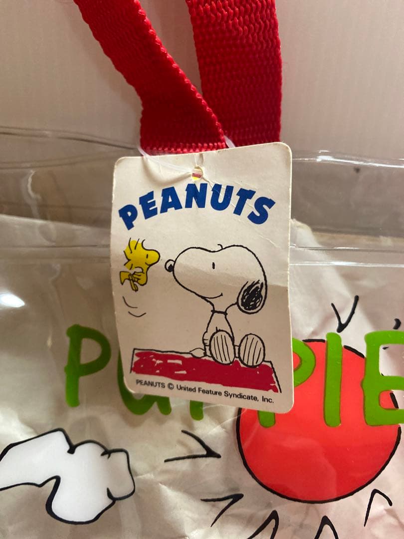 レトロ　タグ付　スヌーピー　Daisy Hill Puppies プールバッグ