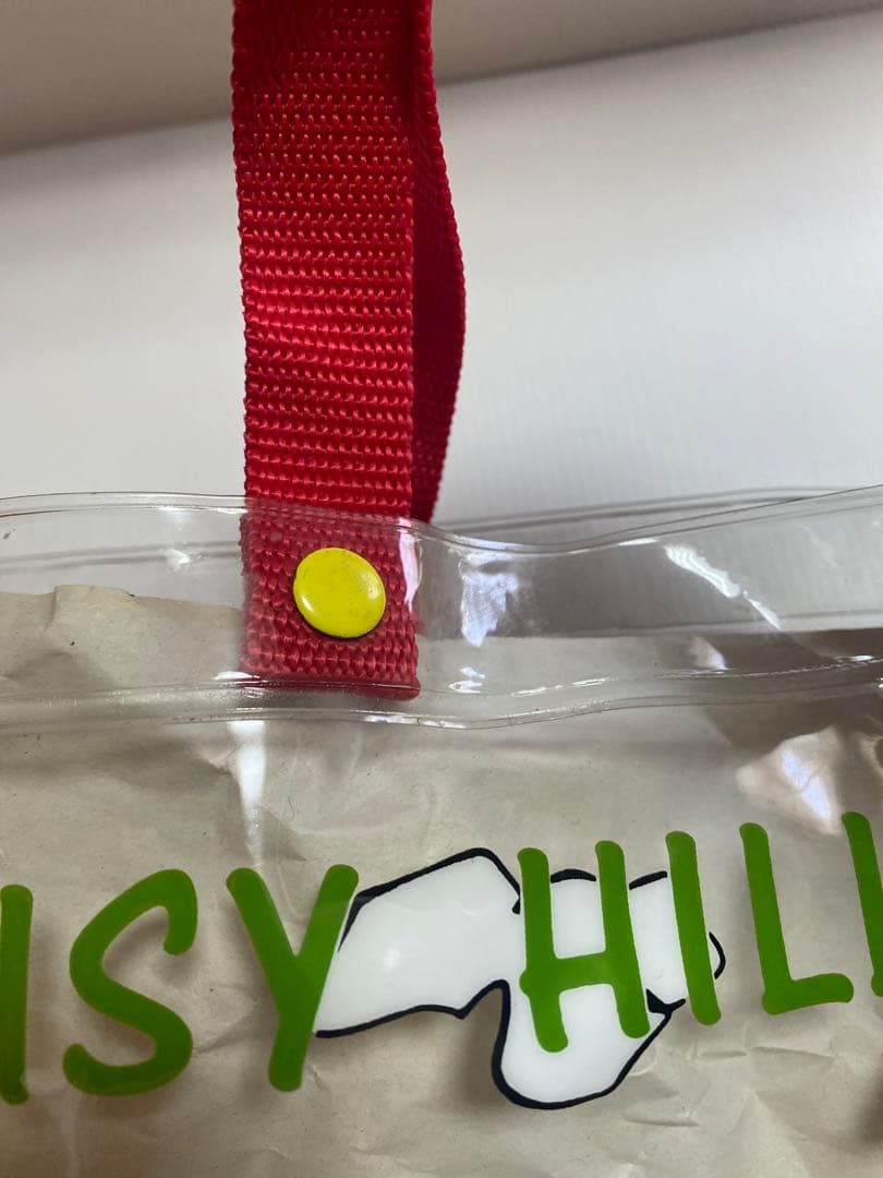 レトロ　タグ付　スヌーピー　Daisy Hill Puppies プールバッグ