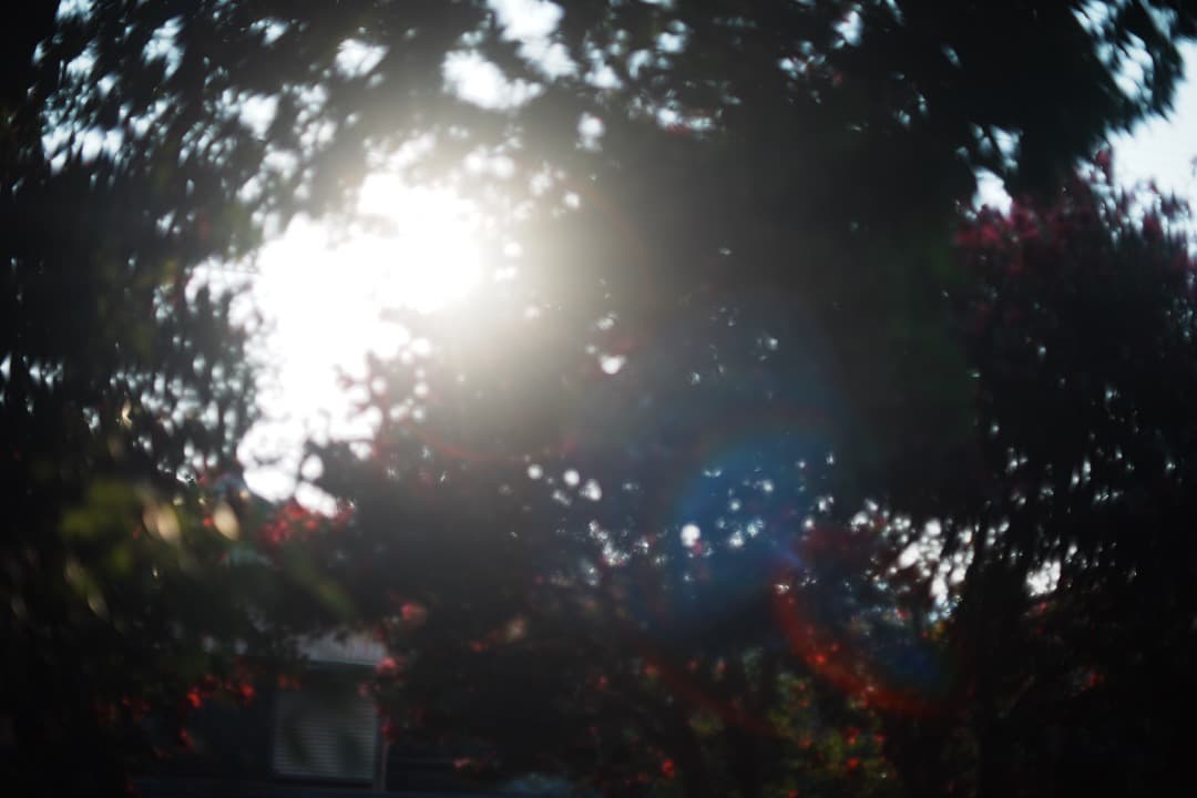 【お得】動作◎ Canon FD 50mm F1.4 S.S.C 250