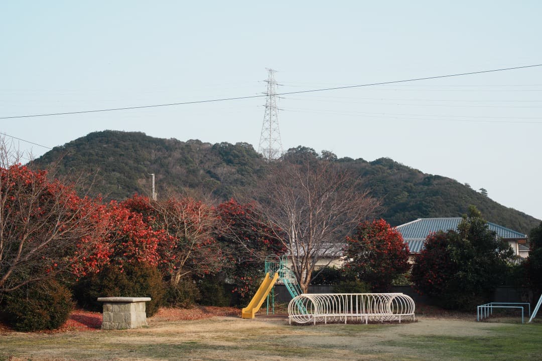 【お得】動作◎ Canon FD 50mm F1.4 S.S.C 250
