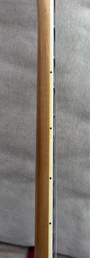 FERNANDES Burny MG-85X モッキンバード hide