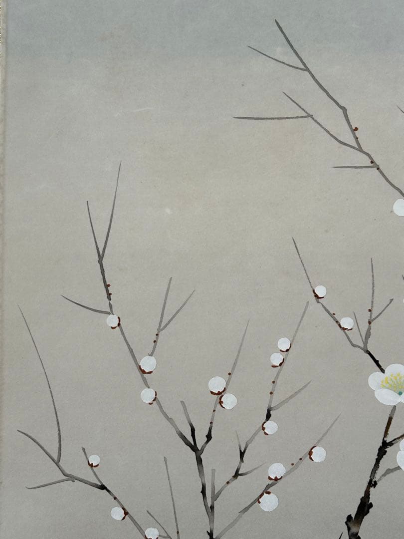 北野暁雪　掛け軸 掛軸 無地箱あり