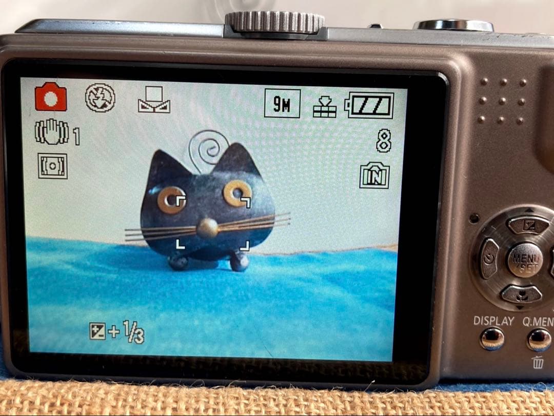 【動作確認済み】Panasonic LUMIX DMC-TZ5 デジタルカメラ