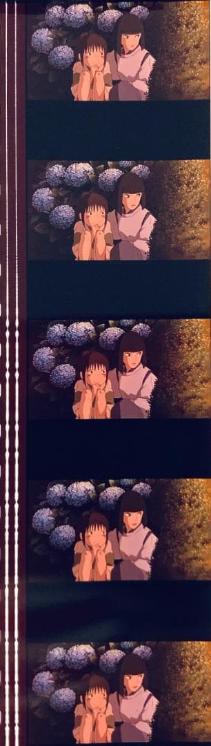 千と千尋の神隠し 35mmフィルム 連続５コマ 入野自由 荻野千尋 柊瑠美