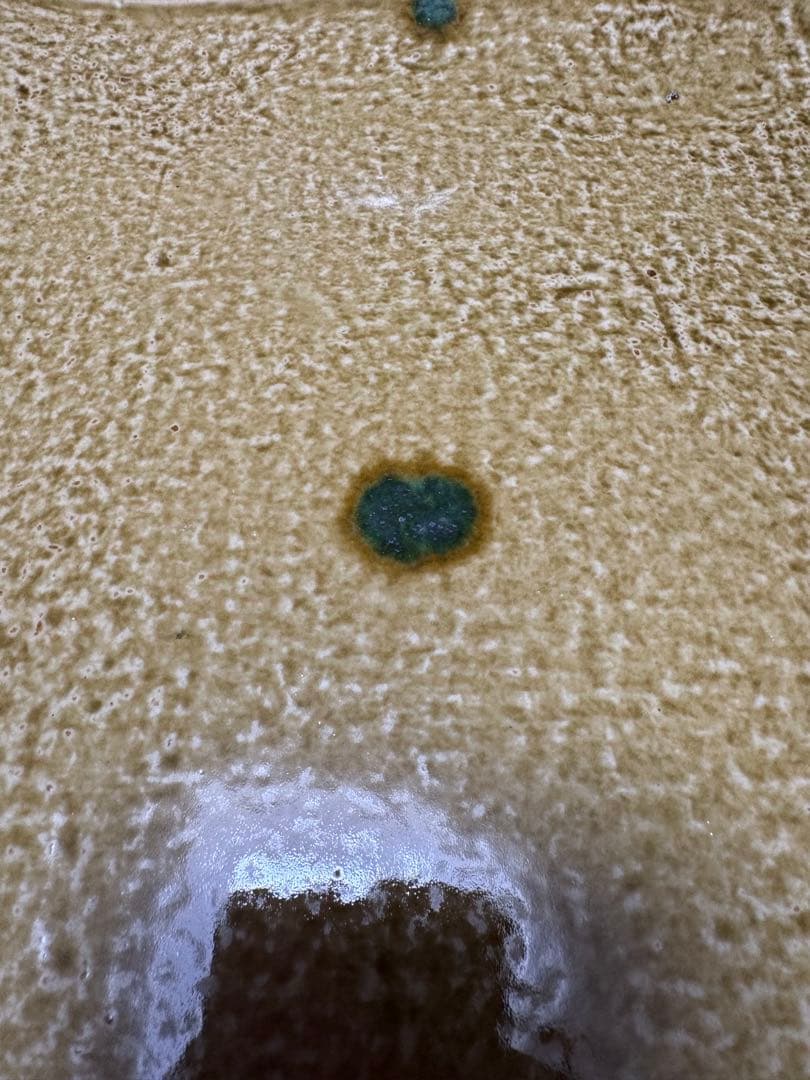 【未使用】長曽元窯_赤津焼_黄瀬戸_角大皿_加藤捷