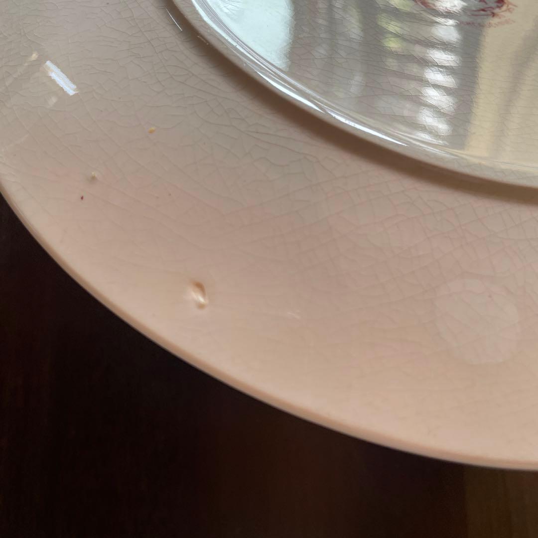 サルグミンヌ 花柄平皿 2枚セット BERTHA 約22.5cm