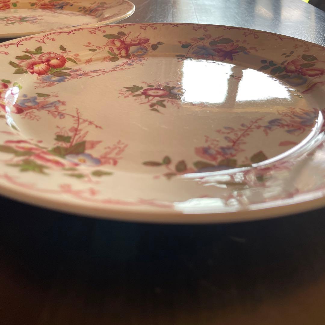 サルグミンヌ 花柄平皿 2枚セット BERTHA 約22.5cm