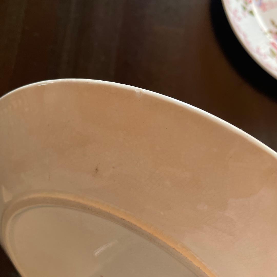 サルグミンヌ 花柄平皿 2枚セット BERTHA 約22.5cm