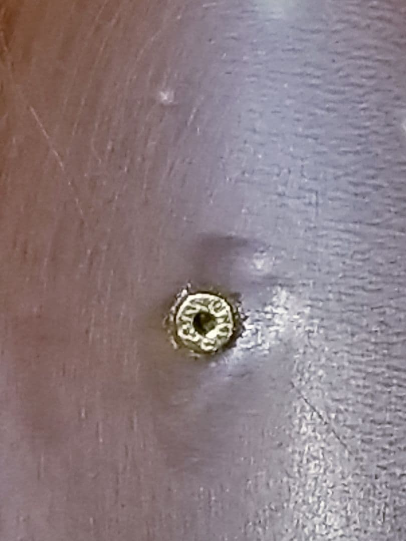 KS-213 【カルロ・パルラーティ作】天然シェルカメオルース