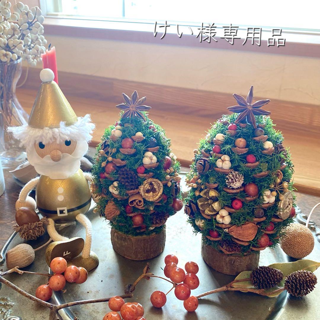 ⚠️専用品⚠️ 大王松 の 松ぼっくりツリー プリザーブド ドライフラワー ツリー