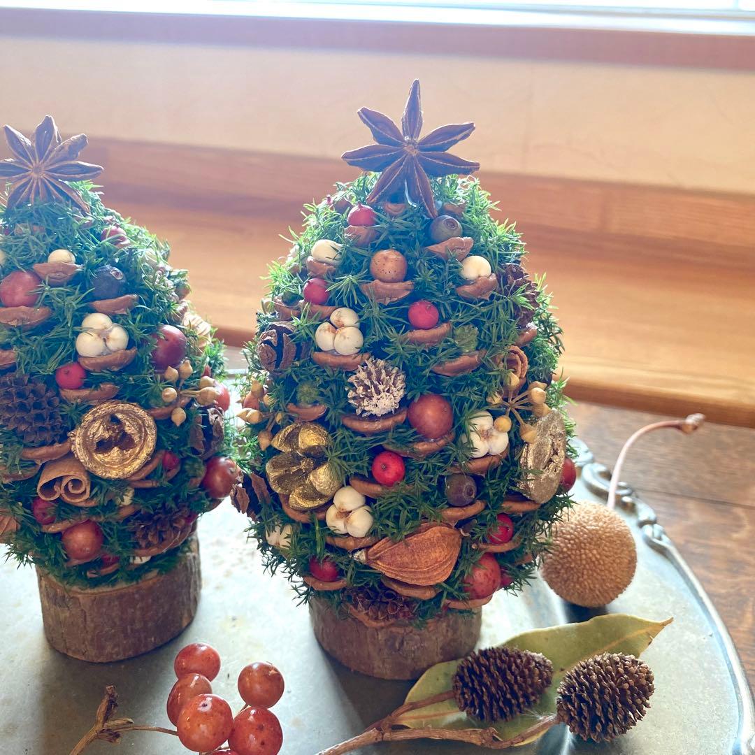 ⚠️専用品⚠️ 大王松 の 松ぼっくりツリー プリザーブド ドライフラワー ツリー