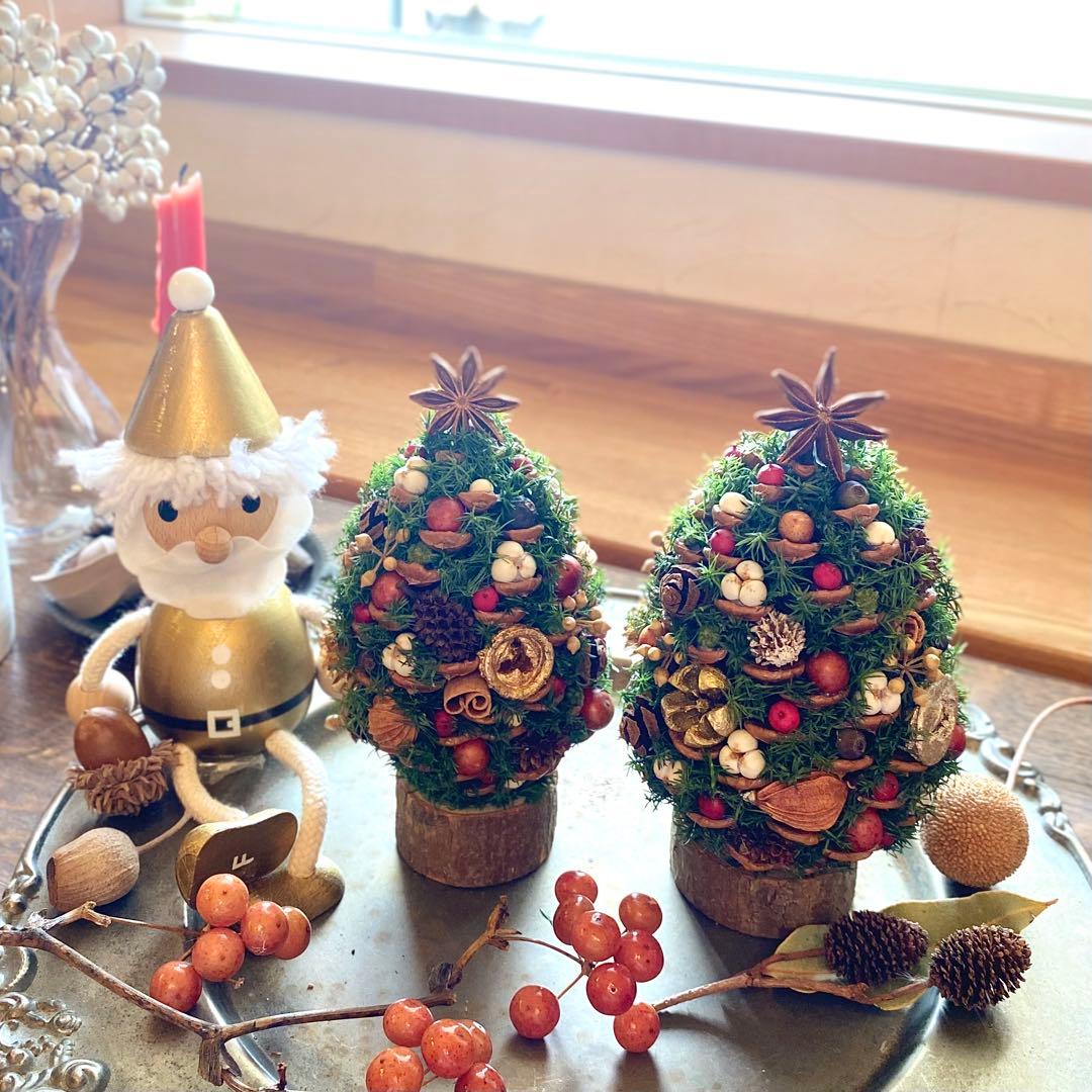 ⚠️専用品⚠️ 大王松 の 松ぼっくりツリー プリザーブド ドライフラワー ツリー