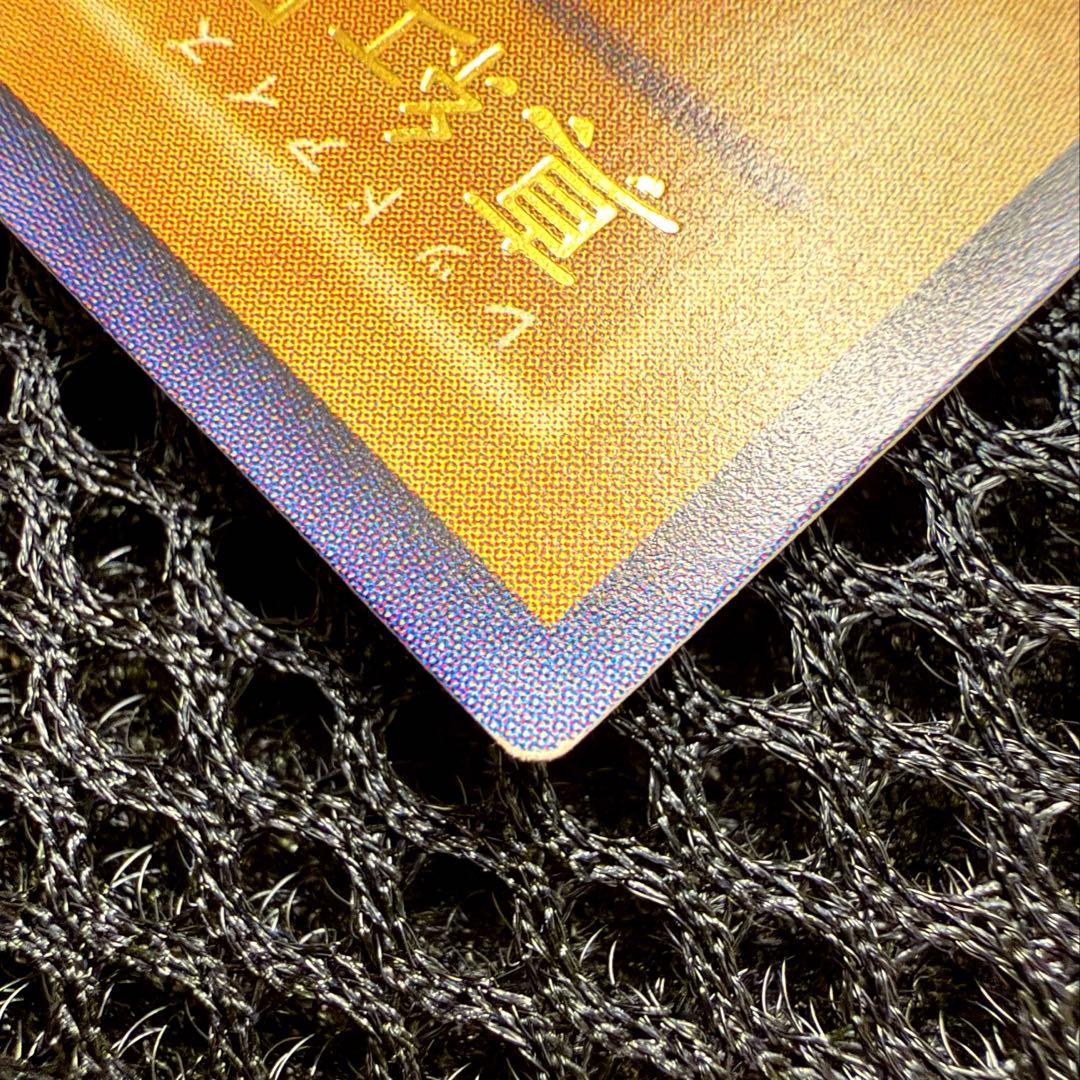 遊戯王 真紅眼の黒竜 レッドアイズ ブラックドラゴン レリーフ 301-056