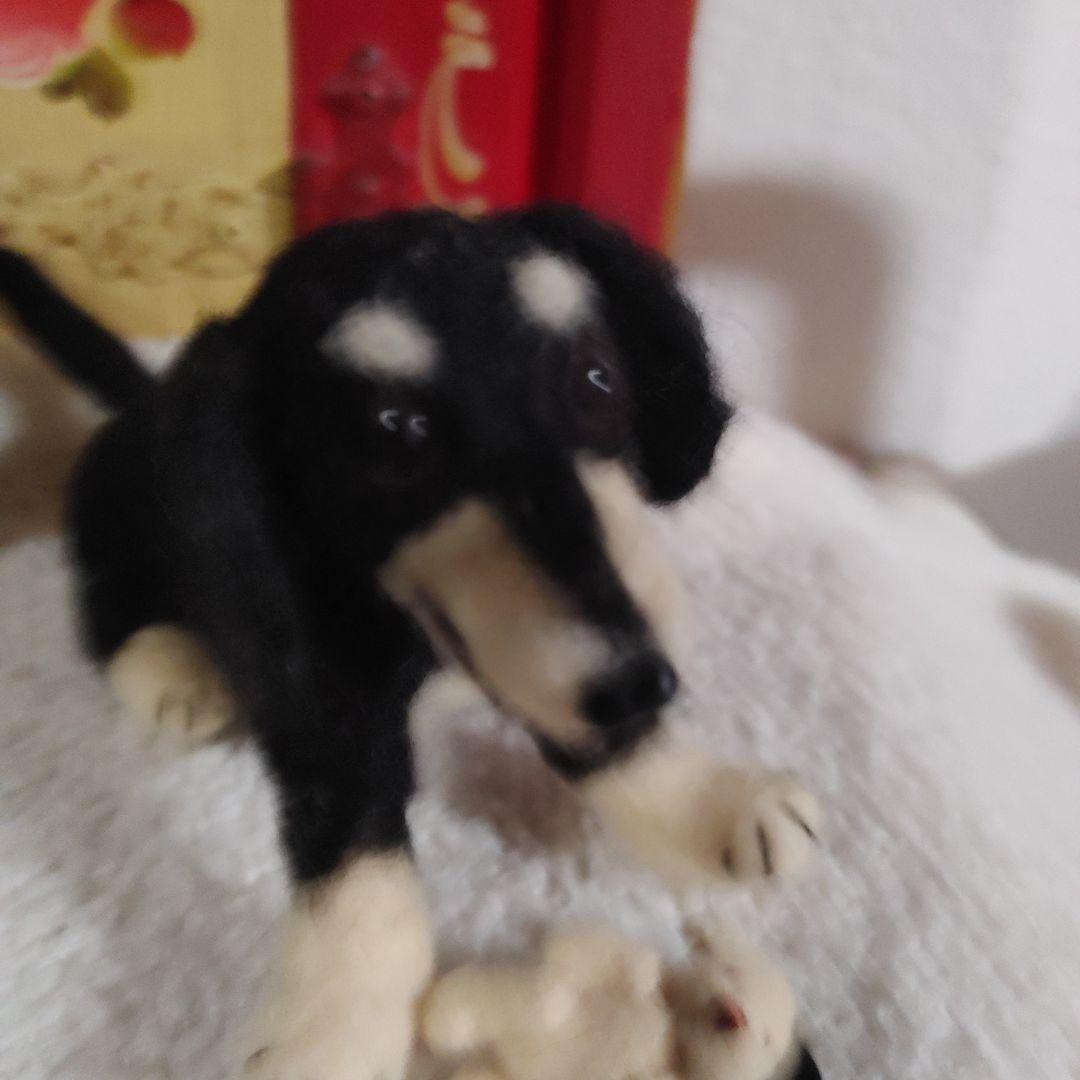 ７　ミニチュアダックス　　やんちゃなクリームタン♡遊ぼう！投げて！