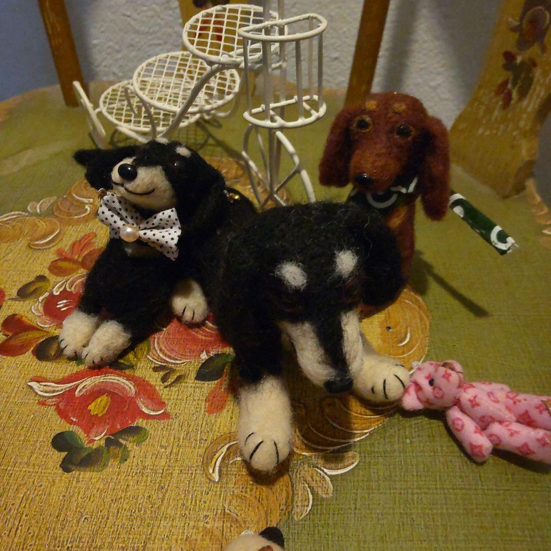 ７　ミニチュアダックス　　やんちゃなクリームタン♡遊ぼう！投げて！