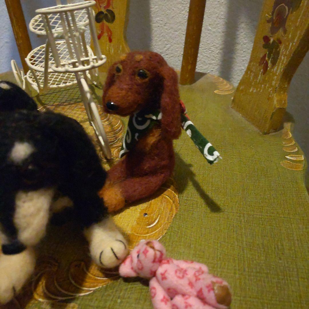 ７　ミニチュアダックス　　やんちゃなクリームタン♡遊ぼう！投げて！