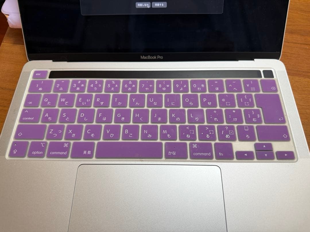 MacBook Pro M1 シルバー 256GB / 8GB
