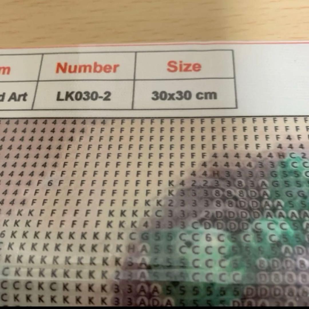 ★専用★ダイヤモンドアート5D グレーヘアマーガレットガール　キットセット