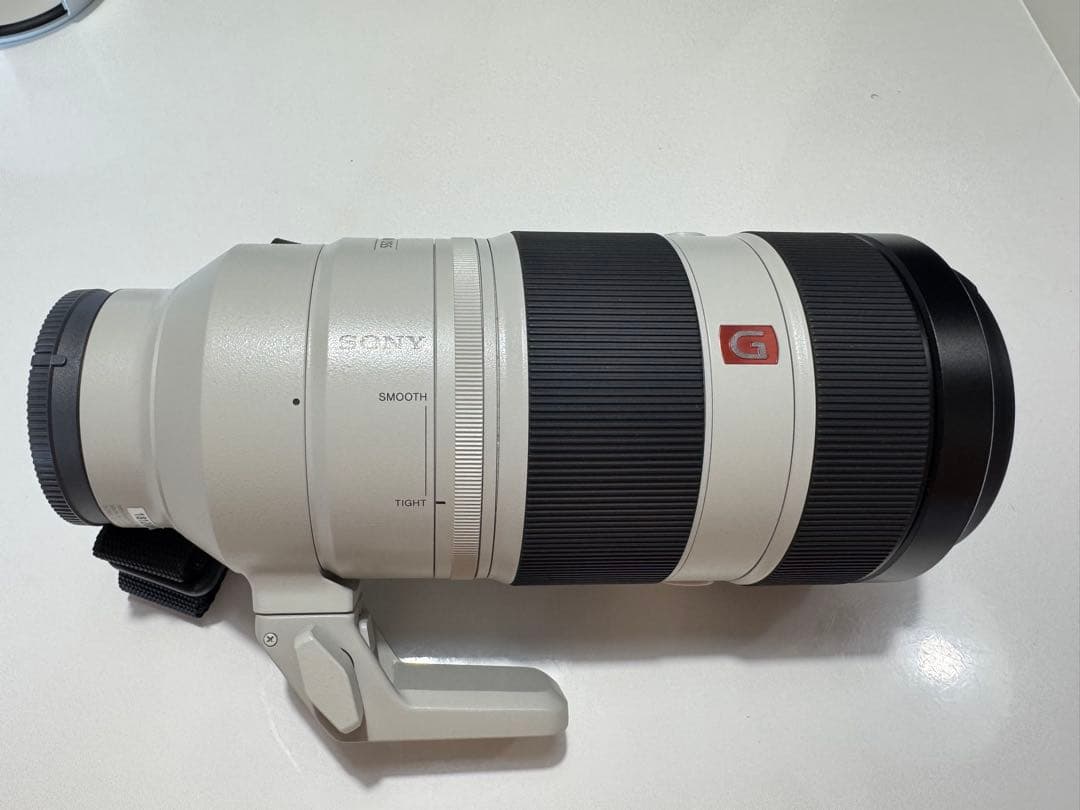 ソニー FE 100-400mm F4.5-5.6 GM OSS