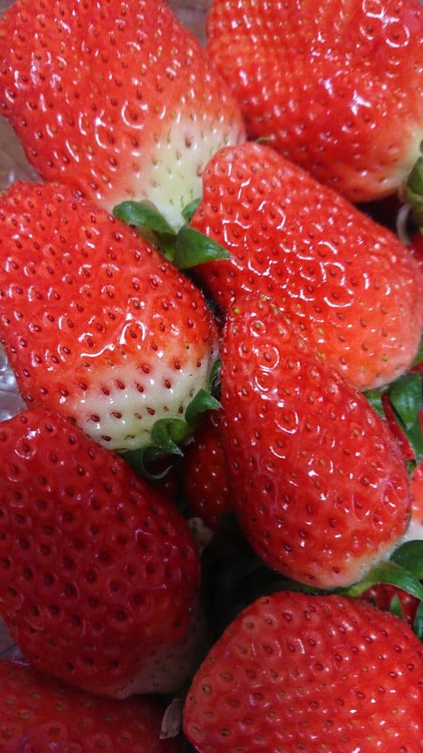 ストロベリー様♫コーナーです♡  有り難いです♡嬉しいです♡感謝ばかりです♡