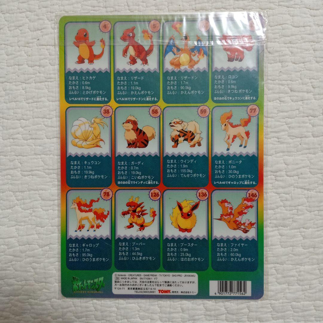 【未開封品】ポケットモンスター 炎のポケモン 下敷き TOMY リザードン