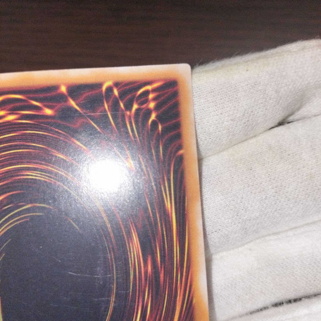 遊戯王 ブラック・パラディン レリーフ