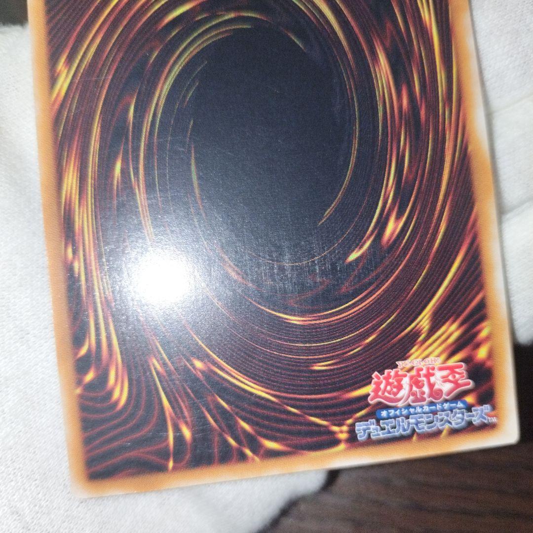 遊戯王 ブラック・パラディン レリーフ