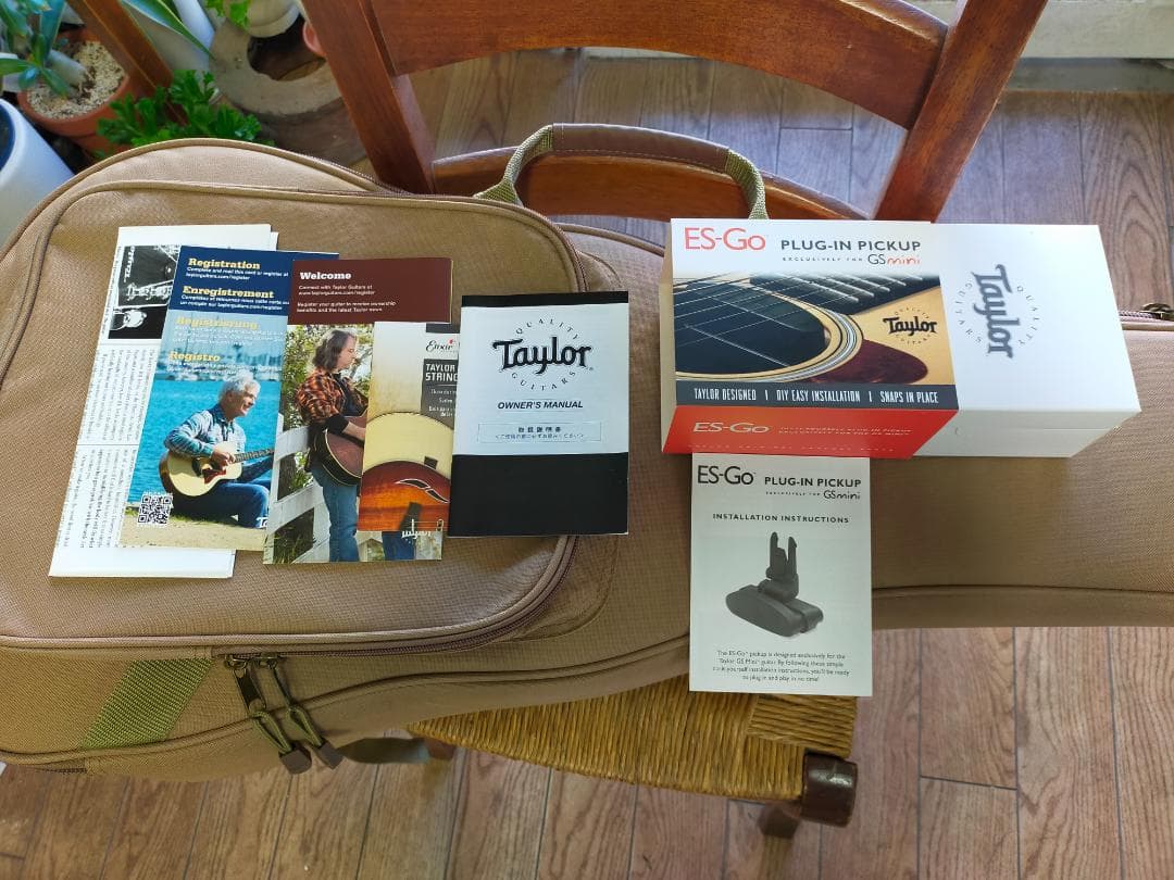 Taylor GS Mini Mahogany　ES-Go pickup付
