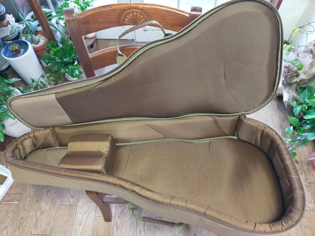 Taylor GS Mini Mahogany　ES-Go pickup付