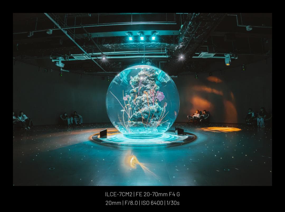 レンズ(ズーム) Sony 20-70mm f/4 G SEL2070G