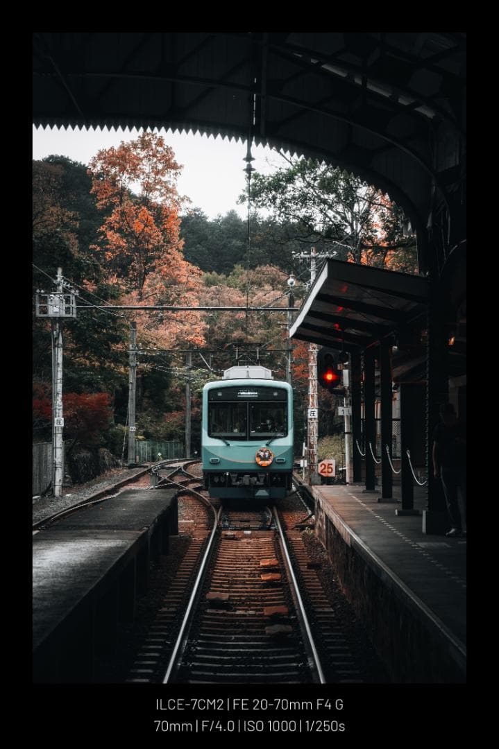 レンズ(ズーム) Sony 20-70mm f/4 G SEL2070G