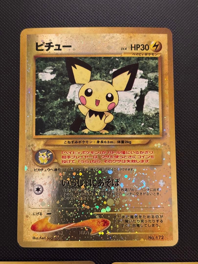 旧裏　リザードン　エンテイ　ブラッキー　エーフィ　ピチュー　プレミアムファイル2