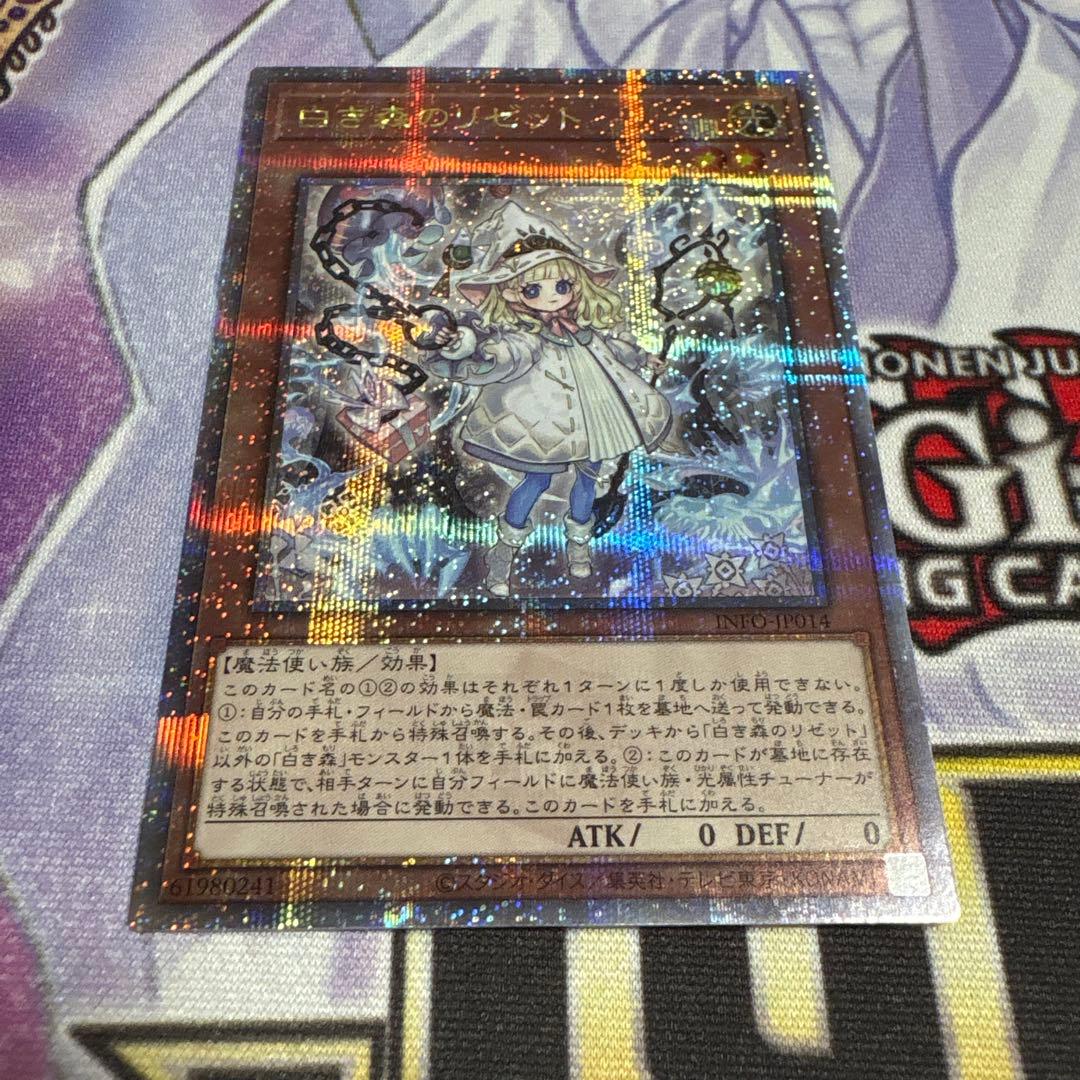 白き森のリゼット 25th 3枚