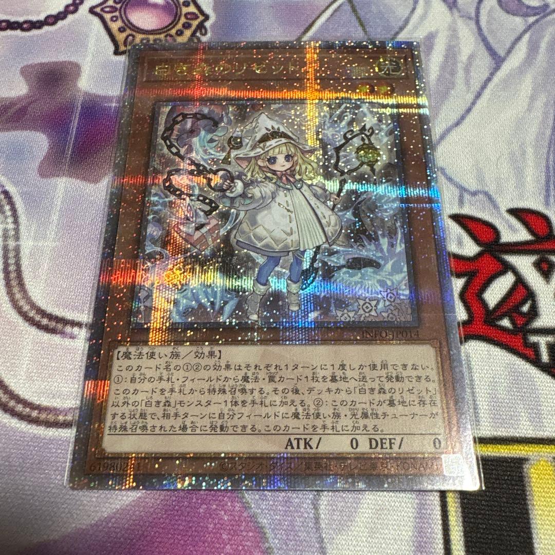 白き森のリゼット 25th 3枚