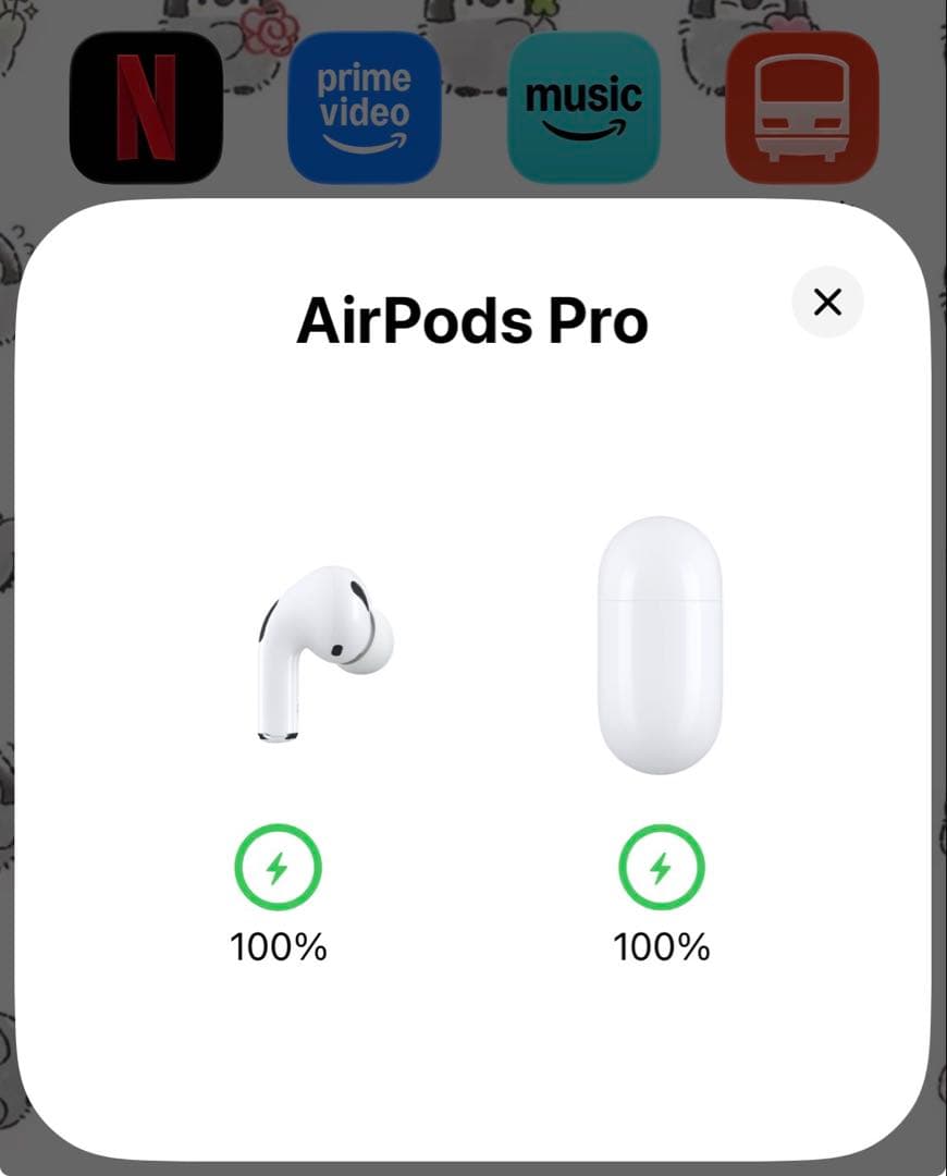 Apple AirPods Pro （第1世代）箱・付属品あり