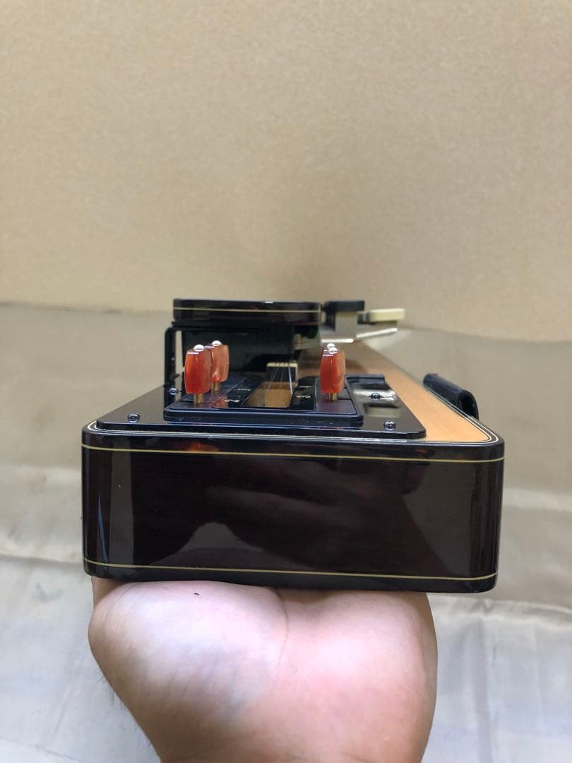 ライリッシュ　電気大正琴　ケース付き