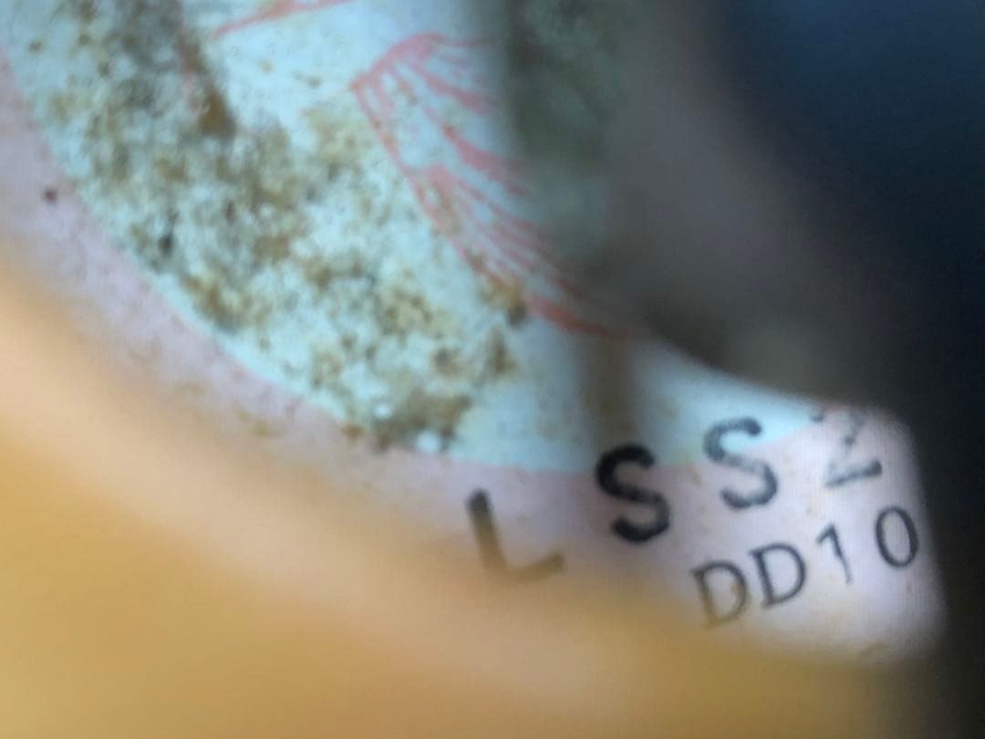 ライリッシュ　電気大正琴　ケース付き