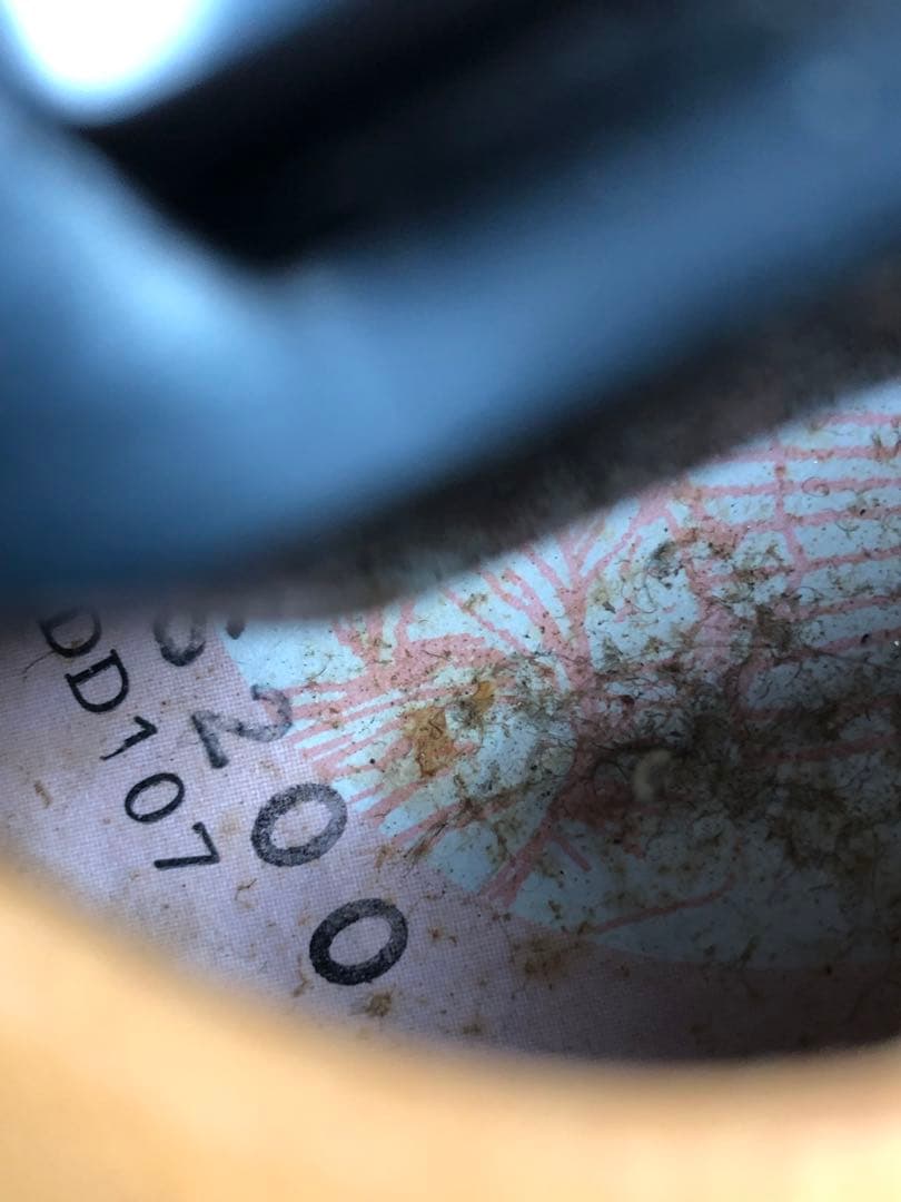 ライリッシュ　電気大正琴　ケース付き