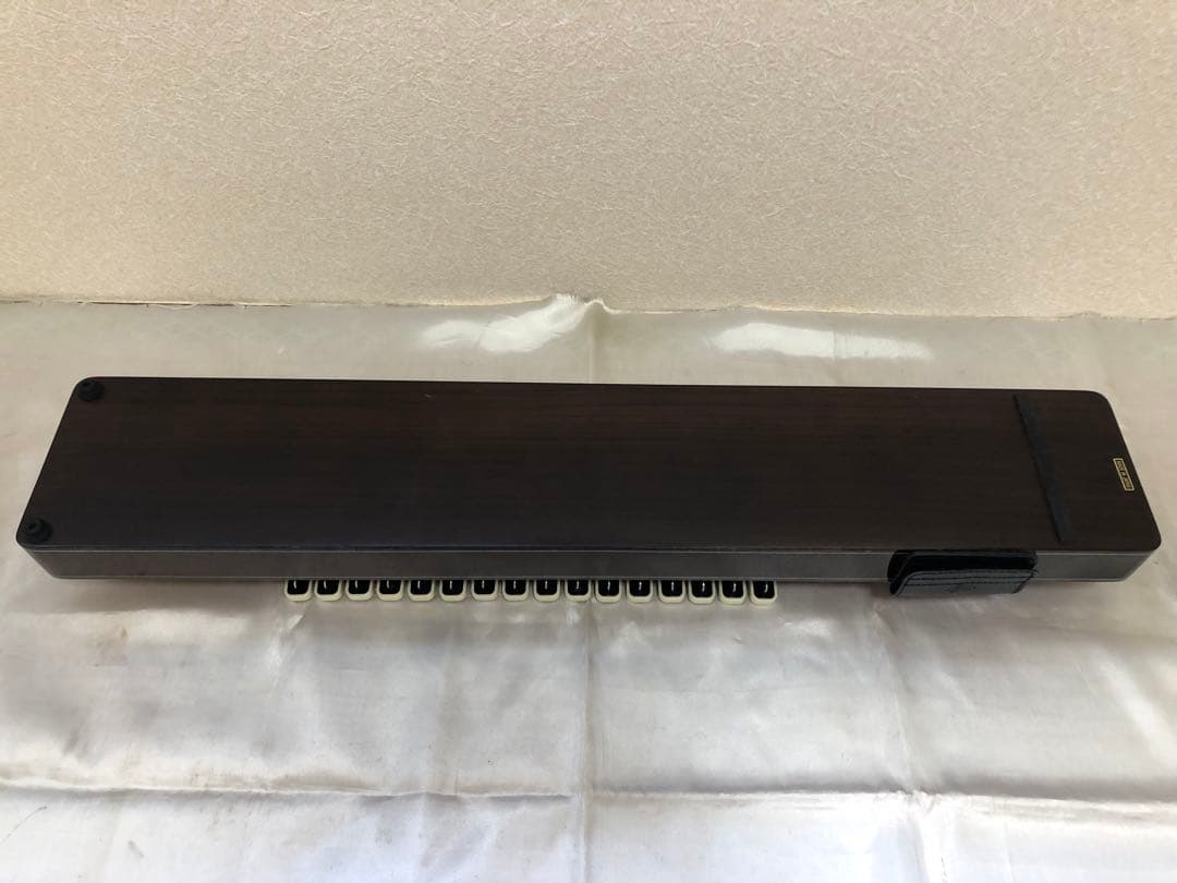 ライリッシュ　電気大正琴　ケース付き