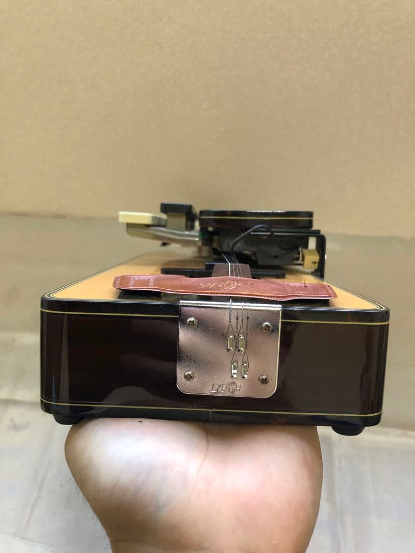 ライリッシュ　電気大正琴　ケース付き