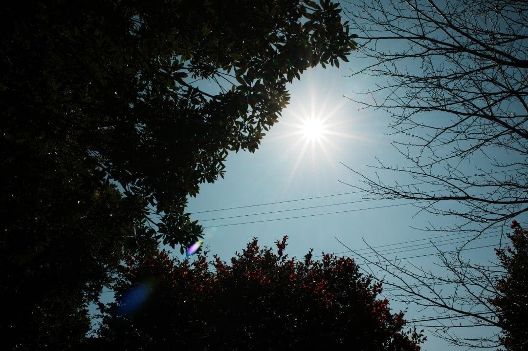 【寄れる大口径】Nikon Ai-s Nikkor 28mm F2 665