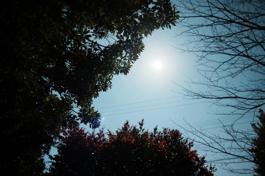 【寄れる大口径】Nikon Ai-s Nikkor 28mm F2 665